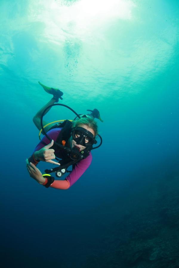 Bongo Bongo Divers Dauin Exterior photo